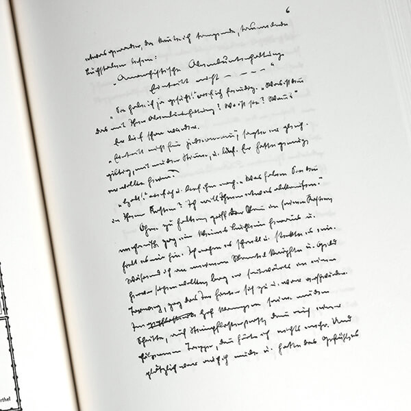 The Steppenwolf | The manuscript of The Steppenwolf | Hermann Hesse